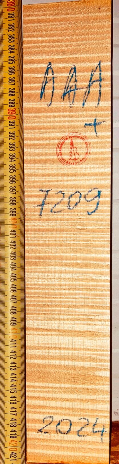 Violin No.7209 Neck