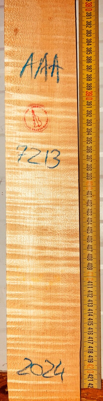Violin No.7213 Neck