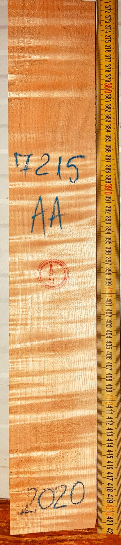 Violin No.7215 Neck