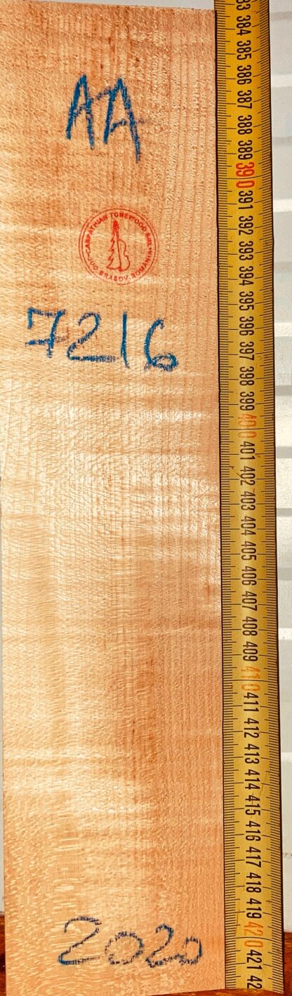 Violin No.7216 Neck