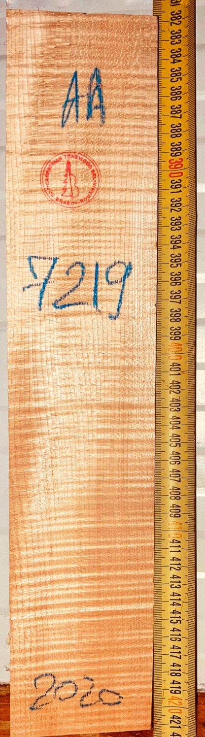 Violin No.7219 Neck