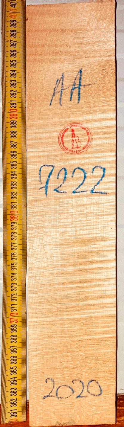 Violin No.7222 Neck