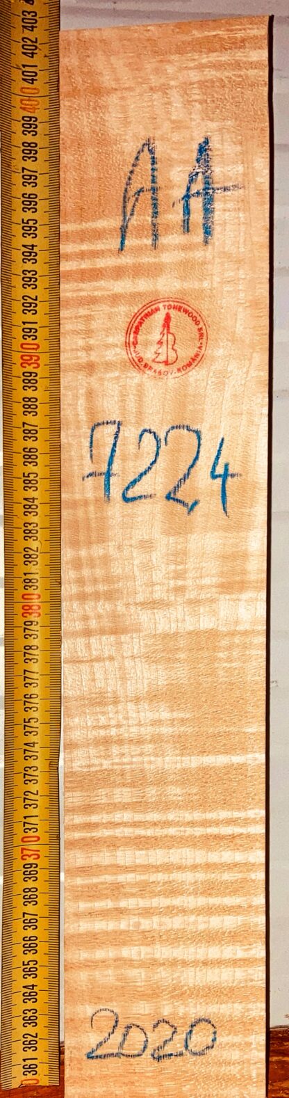 Violin No.7224 Neck