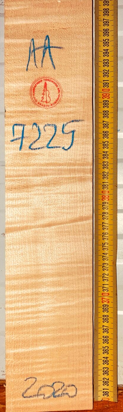Violin No.7225 Neck