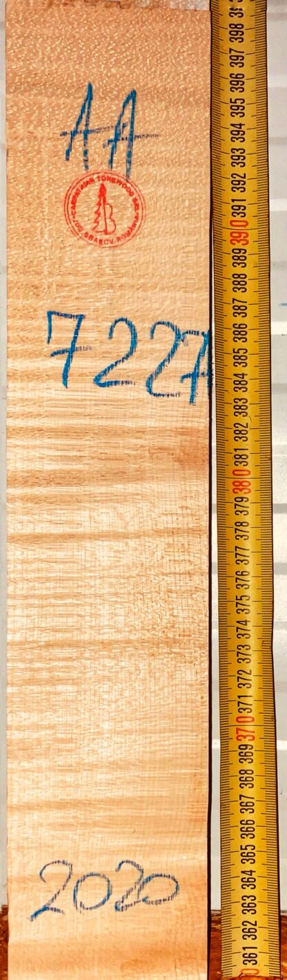 Violin No.7227 Neck