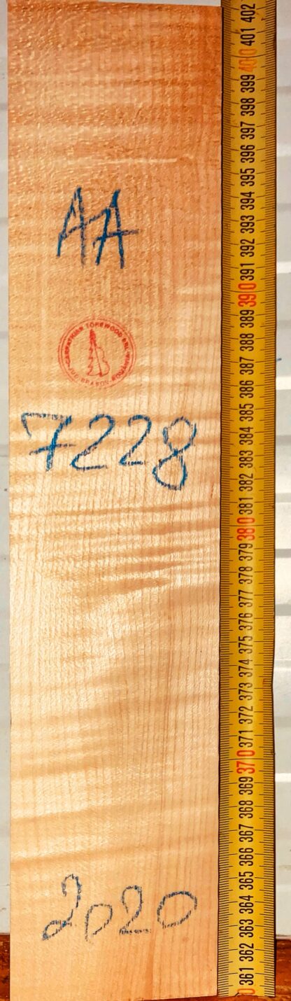 Violin No.7228 Neck