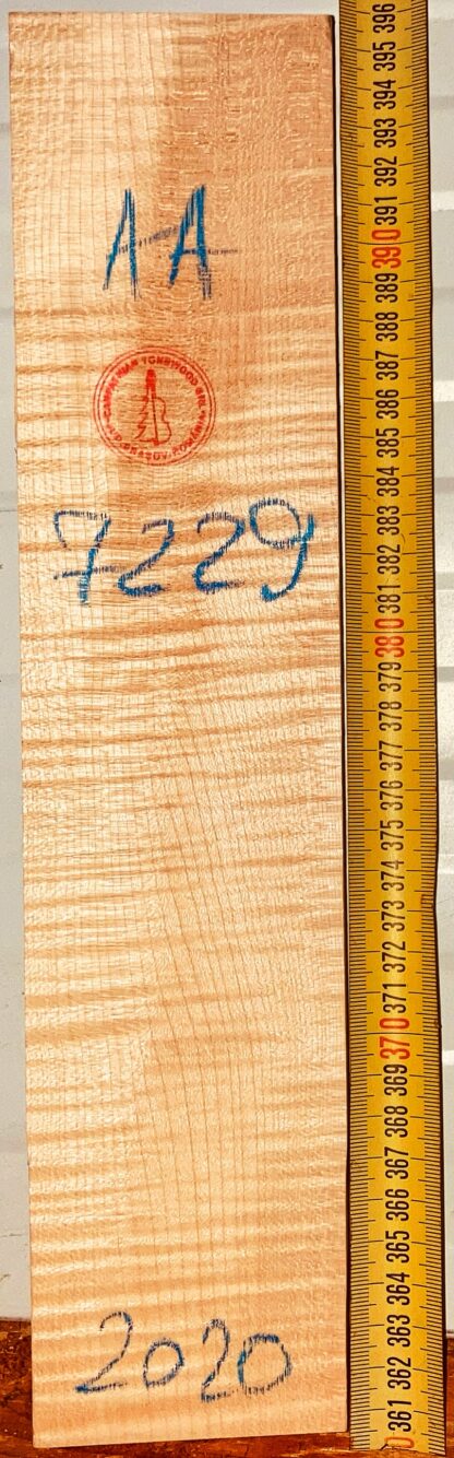 Violin No.7229 Neck