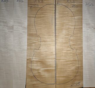 Cello No.750 Back and Sides