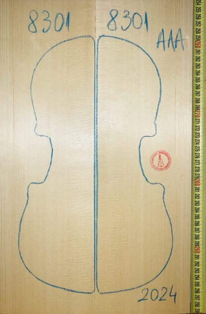 Violin No.8301 Top