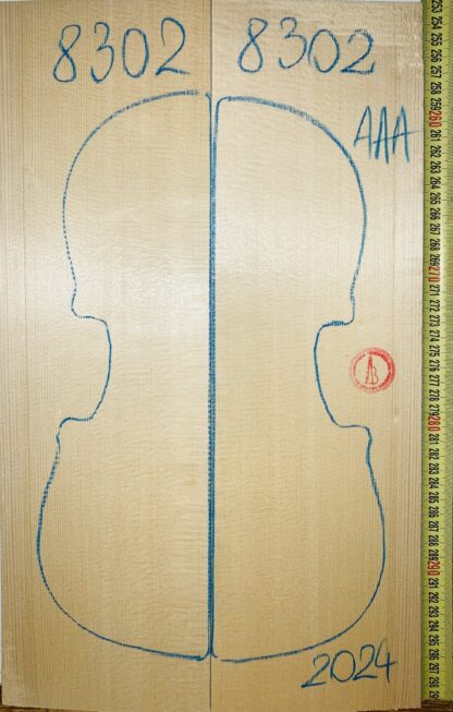 Violin No.8302 Top