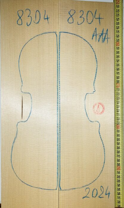 Violin No.8304 Top