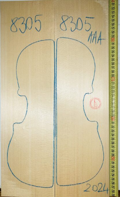 Violin No.8305 Top