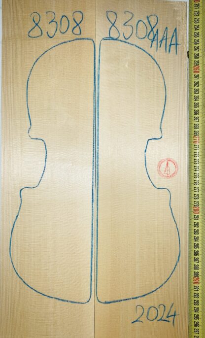 Violin No.8308 Top