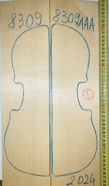 Violin No.8309 Top