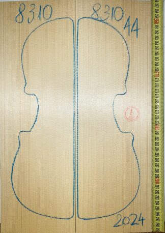 Violin No.8310 Top