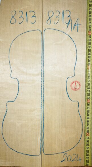 Violin No.8313 Top