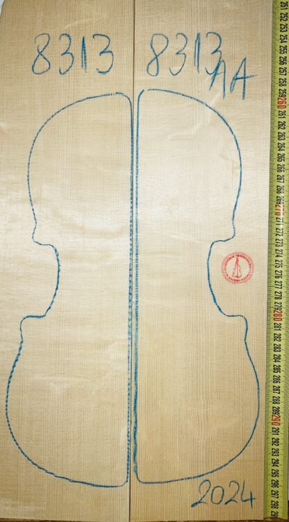 Violin No.8313 Top