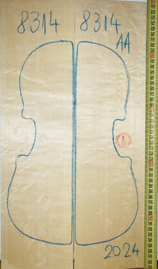 Violin No.8314 Top