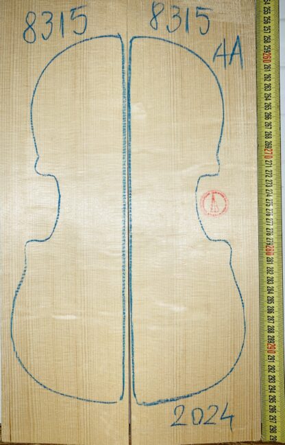 Violin No.8315 Top