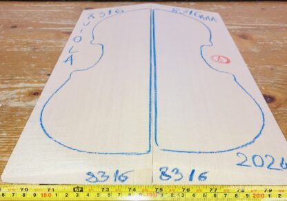 cut from Spruce