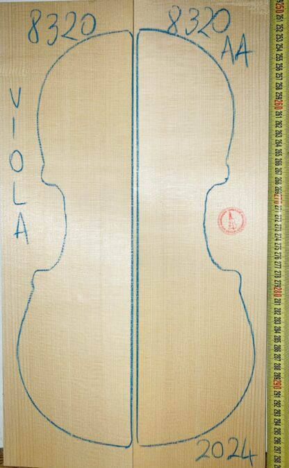 Viola No.8320 Top