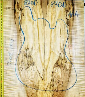 Electric Guitar No.8700 Top