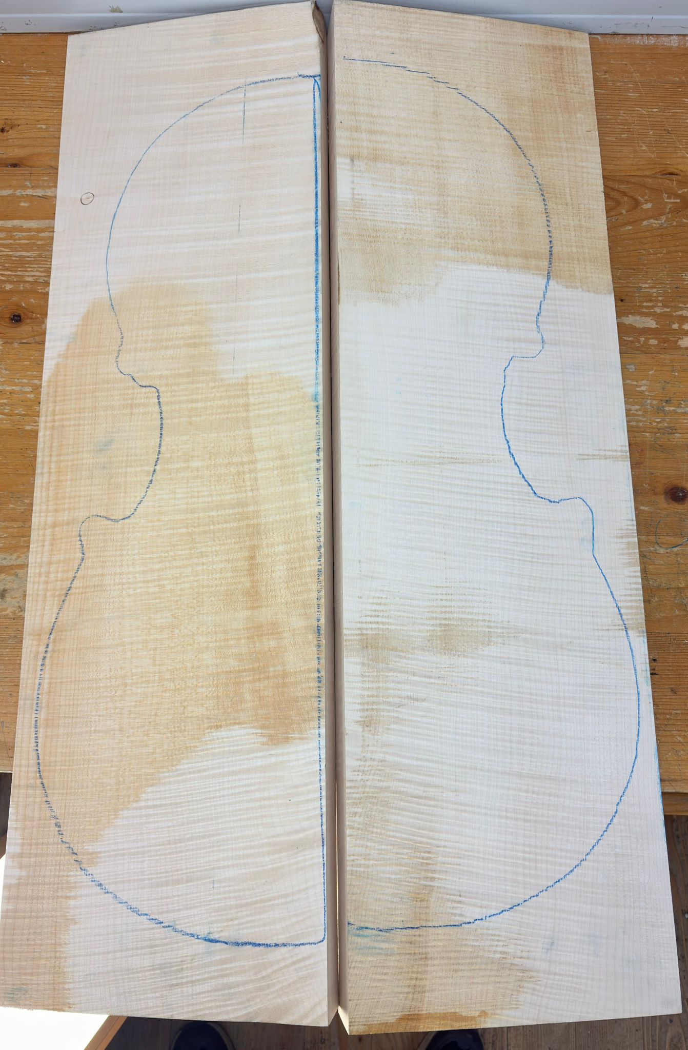 Cello Curly Maple Back and Sides No. 300, AAA Grade - Image 4