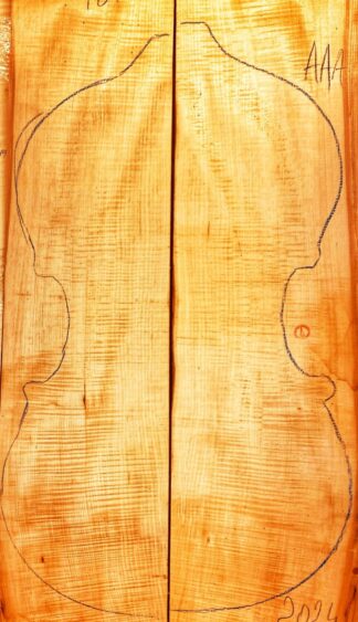 Double bass Curly maple Back and Sides