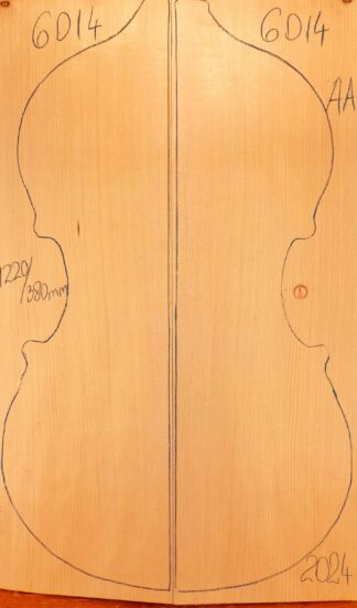 Double bass Spruce Top