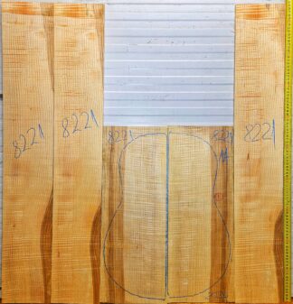 Guitar western No.8221 Back and Sides