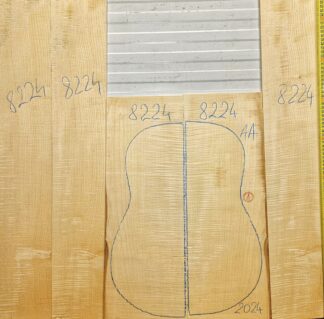 Guitar western No.8224 Back and Sides