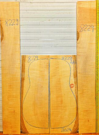 Guitar western No.8229 Back and Sides