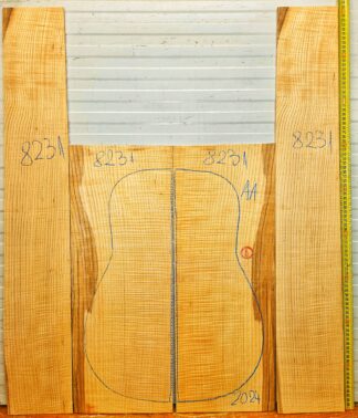 Guitar western No.8231 Back and Sides