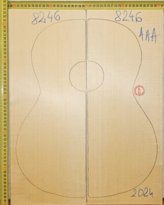 Guitar Classical No.8246 Top