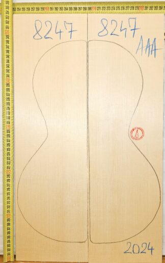 Parlor/Ukulele/Portuguese Guitar No.8247 Top