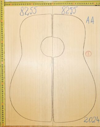 Guitar western No.8255 Top