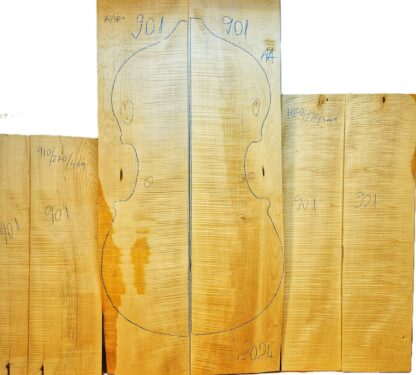 curly maple bass