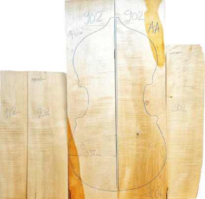 curly maple bass