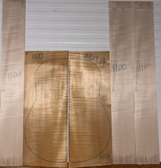 Guitar archtop No.1100 Back and Sides