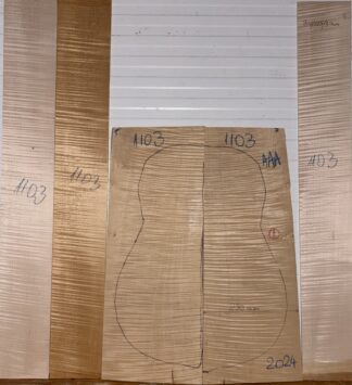 Guitar archtop No.1103 Back and Sides