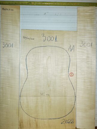 Guitar western No.3001 Back and Sides