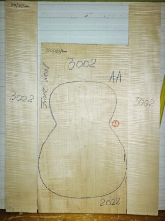 Guitar western No.3002 Back and Sides