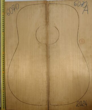 Guitar western No.6070 Top