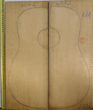 Guitar western No.6072 Top