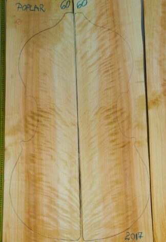Double bass Poplar Back and Sides
