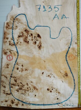 Electric Guitar No.7135 Top