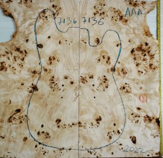 Electric Guitar No.7136 Top