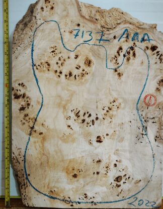 Electric Guitar No.7137 Top