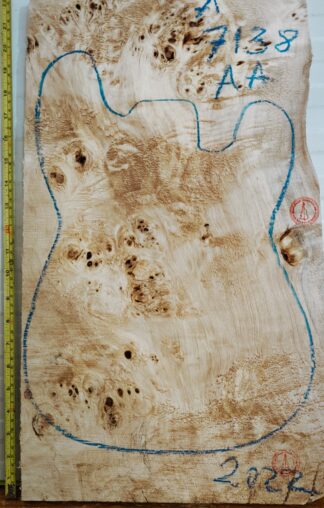 Electric Guitar No.7138 Top