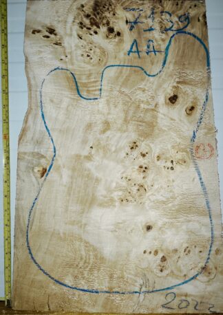 Electric Guitar No.7139 Top